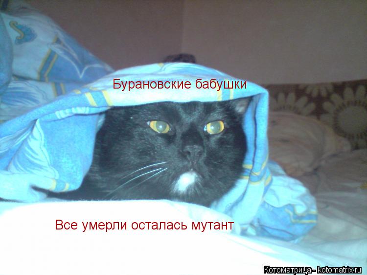 Бурановские бабушки Все умерли осталась мутант... Котоматрица: Бурановские бабушки Все умерли осталась мутант