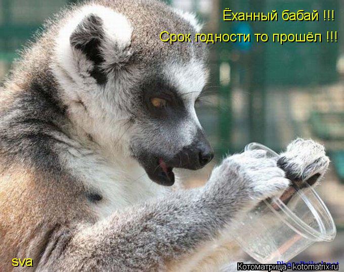 Ёханный бабай !!! Срок годности то прошёл !!! sva... Котоматрица: Ёханный бабай !!! Срок годности то прошёл !!! sva