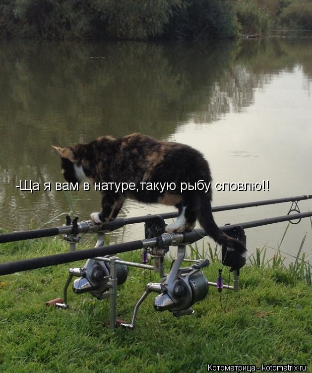 -Ща я вам в натуре,такую рыбу словлю!!... Котоматрица: -Ща я вам в натуре,такую рыбу словлю!!
