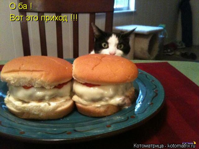 О ба ! Вот это приход !!!... Котоматрица: О ба ! Вот это приход !!!