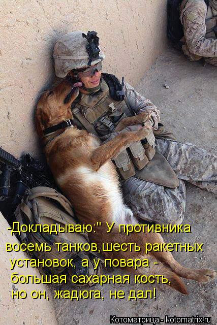 -Докладываю:" У противника восемь танков,шесть ракетных установок, а у повара - большая сахарная кос... Котоматрица: -Докладываю:" У противника восемь танков,шесть ракетных установок, а у повара - большая сахарная кость, но он, жадюга, не дал!