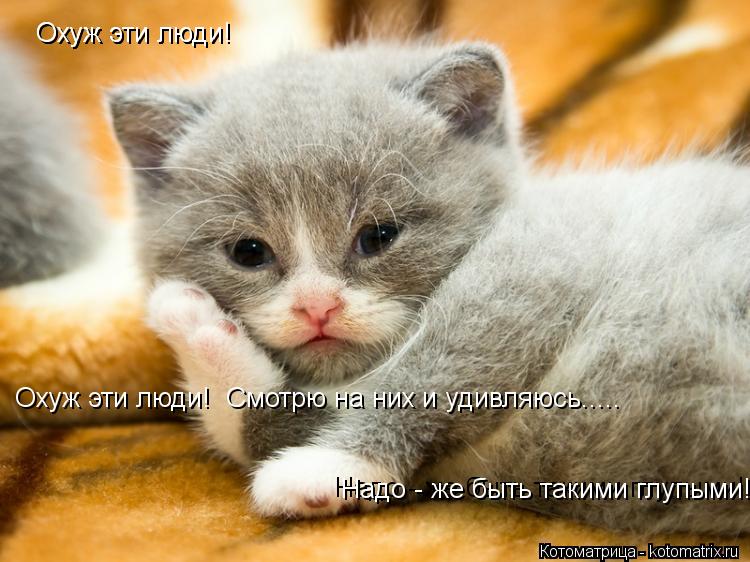 Охуж эти люди! Охуж эти люди! Охуж эти люди! Смотрю на них и удивляюсь..... Надо - же быть таким... Котоматрица: Охуж эти люди! Охуж эти люди! Охуж эти люди! Смотрю на них и удивляюсь..... Надо - же быть такими глупыми! Надо - же быть такими глупыми!