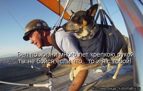 Вел по жизни много лет крепкою рукой, ты не бойся,если что...то и я с тобой!... Котоматрица: Вел по жизни много лет крепкою рукой, ты не бойся,если что...то и я с тобой!