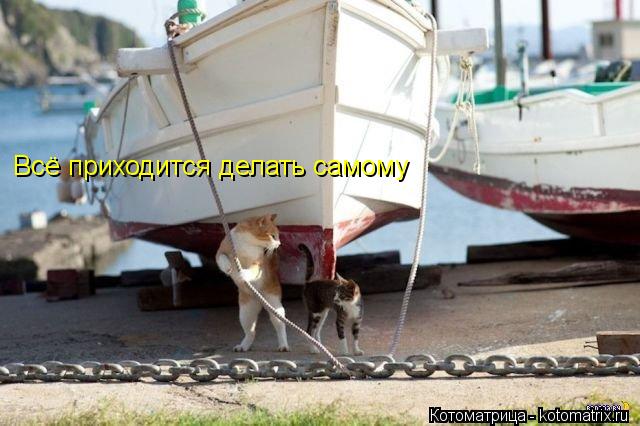 Всё приходится делать самому... Котоматрица: Всё приходится делать самому