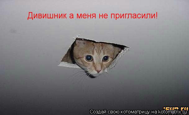 Дивишник а меня не пригласили!... Котоматрица: Дивишник а меня не пригласили!