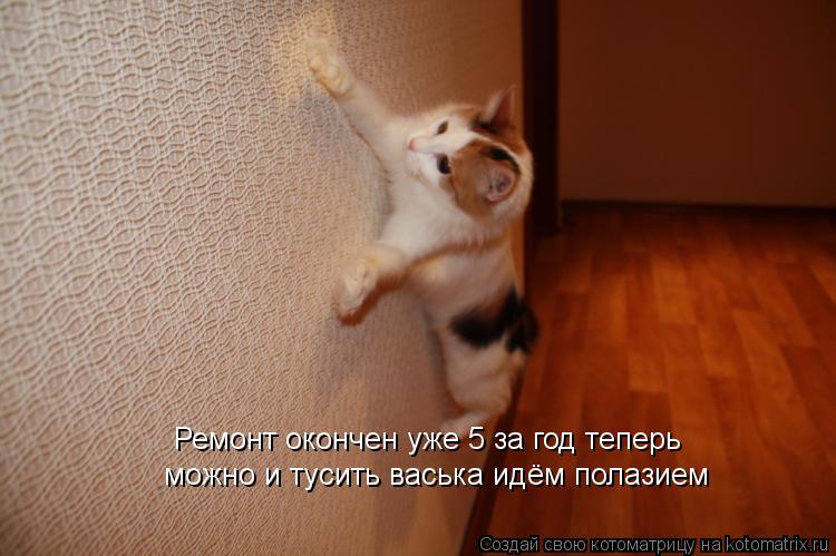 Ремонт окончен уже 5 за год теперь можно и тусить васька идём полазием... Котоматрица: Ремонт окончен уже 5 за год теперь можно и тусить васька идём полазием