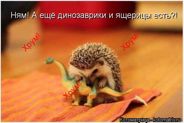 Ням! А ещё динозаврики и ящерицы есть?! Хрум! Хрум! Хрум!... Котоматрица: Ням! А ещё динозаврики и ящерицы есть?! Хрум! Хрум! Хрум!