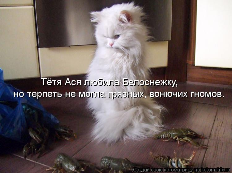 Тётя Ася любила Белоснежку, но терпеть не могла грязных, вонючих гномов.... Котоматрица: Тётя Ася любила Белоснежку, но терпеть не могла грязных, вонючих гномов.