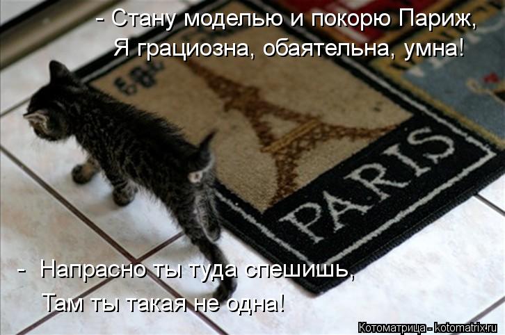 - Стану моделью и покорю Париж, Я грациозна, обаятельна, умна! - Напрасно ты туда спешишь, Там ты та... Котоматрица: - Стану моделью и покорю Париж, Я грациозна, обаятельна, умна! - Напрасно ты туда спешишь, Там ты такая не одна!