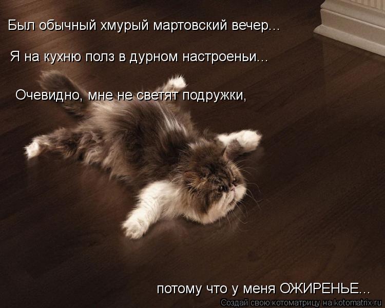 Был обычный хмурый мартовский вечер... Я на кухню полз в дурном настроеньи... Очевидно, мне не светят... Котоматрица: Был обычный хмурый мартовский вечер... Я на кухню полз в дурном настроеньи... Очевидно, мне не светят подружки, потому что у меня ОЖИРЕНЬЕ...