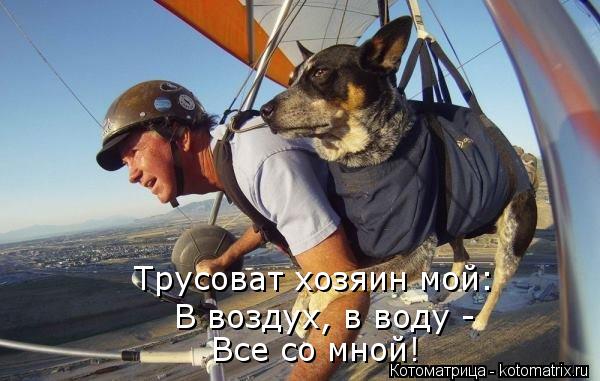 Все со мной! В воздух, в воду - Трусоват хозяин мой:... Котоматрица: Все со мной! В воздух, в воду - Трусоват хозяин мой: