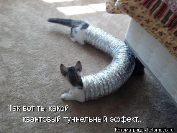 Так вот ты какой, квантовый туннельный эффект...... Котоматрица: Так вот ты какой, квантовый туннельный эффект...