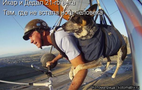 Икар и Дедал 21-го века Там, где не встала нога человека... Котоматрица: Икар и Дедал 21-го века Там, где не встала нога человека
