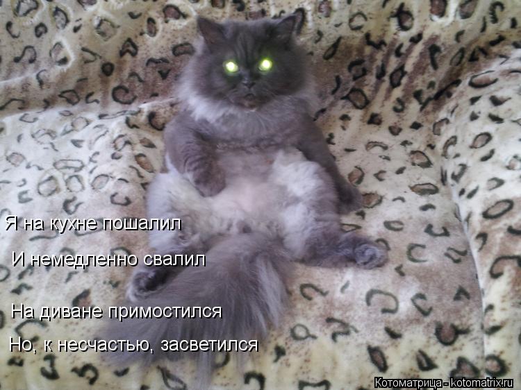 Я на кухне пошалил И немедленно свалил На диване примостился Но, к несчастью, засветился... Котоматрица: Я на кухне пошалил И немедленно свалил На диване примостился Но, к несчастью, засветился