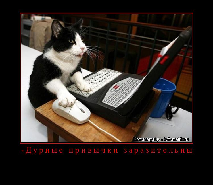 -Дурные привычки заразительны ... Котоматрица: -Дурные привычки заразительны