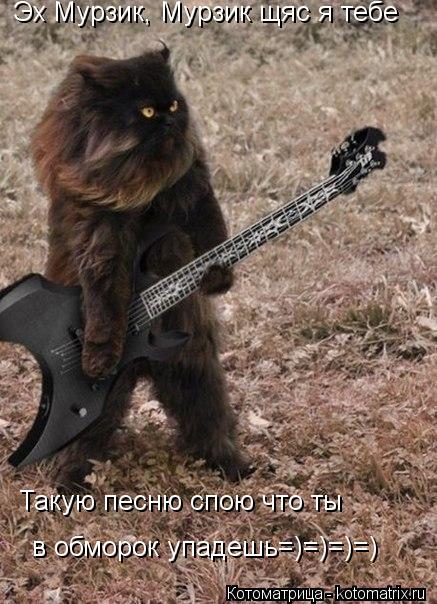 Эх Мурзик, Мурзик щяс я тебе Такую песню спою что ты в обморок упадешь=)=)=)=)... Котоматрица: Эх Мурзик, Мурзик щяс я тебе Такую песню спою что ты в обморок упадешь=)=)=)=)