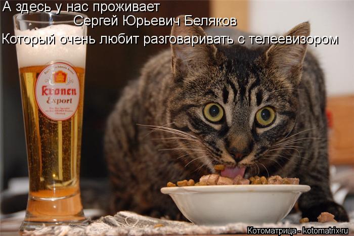 А здесь у нас проживает Сергей Юрьевич Беляков Который очень любит разговаривать с телеевизором... Котоматрица: А здесь у нас проживает Сергей Юрьевич Беляков Который очень любит разговаривать с телеевизором