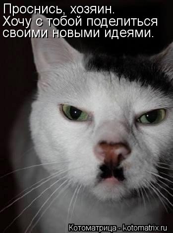 Проснись, хозяин. Хочу с тобой поделиться своими новыми идеями.... Котоматрица: Проснись, хозяин. Хочу с тобой поделиться своими новыми идеями.