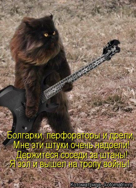 Котоматрица: Держитеся соседи за штаны! Болгарки, перфораторы и дрели, Мне эти штуки очень надоели! Я зол и вышел на тропу войны!