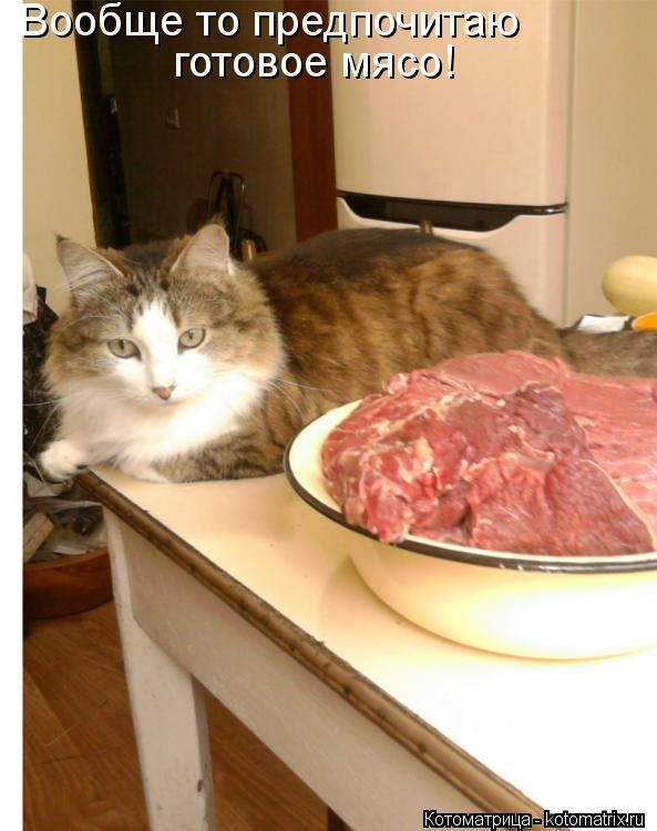 Вообще то предпочитаю готовое мясо!... Котоматрица: Вообще то предпочитаю готовое мясо!