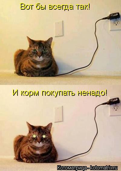 Вот бы всегда так! И корм покупать ненадо!... Котоматрица: Вот бы всегда так! И корм покупать ненадо!