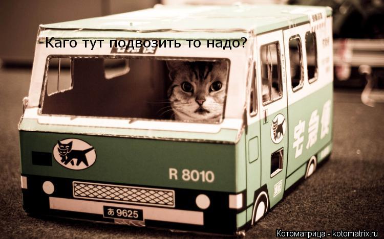 -Каго тут подвозить то надо?... Котоматрица: -Каго тут подвозить то надо?