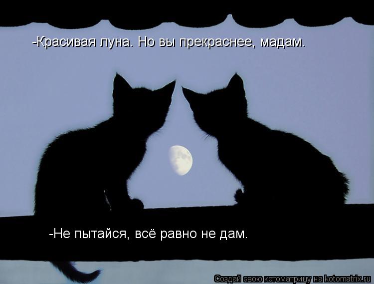 -Красивая луна. Но вы прекраснее, мадам. -Не пытайся, всё равно не дам.... Котоматрица: -Красивая луна. Но вы прекраснее, мадам. -Не пытайся, всё равно не дам.