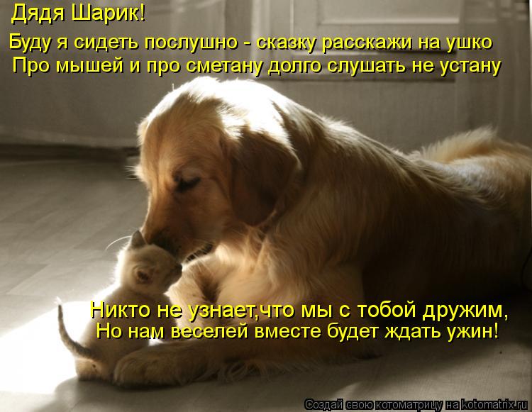 Дядя Шарик! Буду я сидеть послушно - сказку расскажи на ушко Про мышей и про сметану долго слушать ... Котоматрица: Дядя Шарик! Буду я сидеть послушно - сказку расскажи на ушко Про мышей и про сметану долго слушать не устану Никто не узнает,что мы с тобой