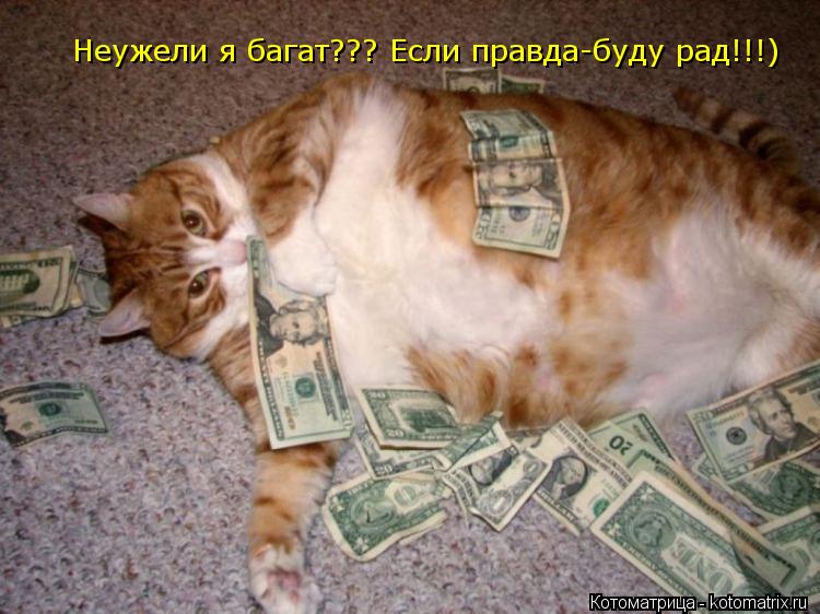 Неужели я багат??? Если правда-буду рад!!!)... Котоматрица: Неужели я багат??? Если правда-буду рад!!!)