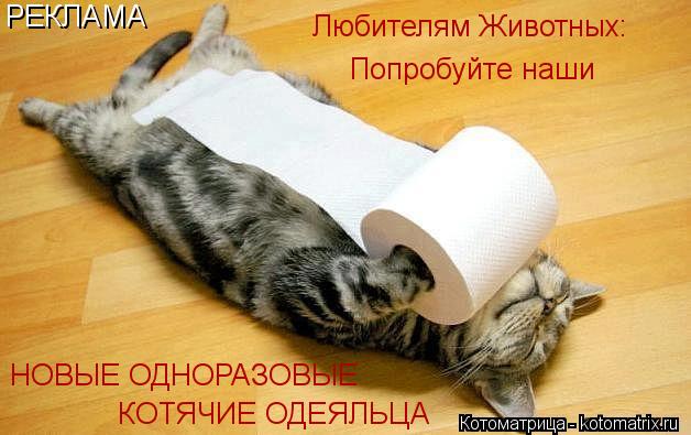 РЕКЛАМА Попробуйте наши Любителям Животных: КОТЯЧИЕ ОДЕЯЛЬЦА НОВЫЕ ОДНОРАЗОВЫЕ... Котоматрица: РЕКЛАМА Попробуйте наши Любителям Животных: КОТЯЧИЕ ОДЕЯЛЬЦА НОВЫЕ ОДНОРАЗОВЫЕ
