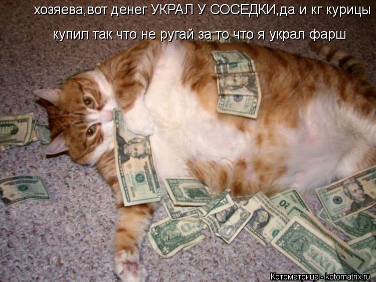 хозяева,вот денег УКРАЛ У СОСЕДКИ,да и кг курицы купил... купил так что не ругай за то что я украл ... Котоматрица: хозяева,вот денег УКРАЛ У СОСЕДКИ,да и кг курицы купил... купил так что не ругай за то что я украл фарш