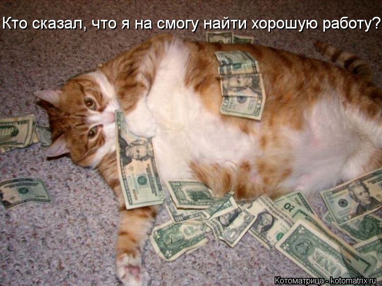 Кто сказал, что я на смогу найти хорошую работу?... Котоматрица: Кто сказал, что я на смогу найти хорошую работу?