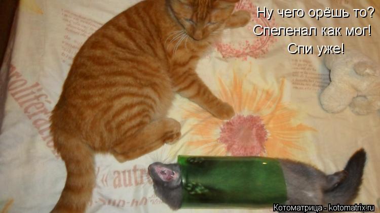 Ну что орёшь то? Спеленал как мог! Ну чего орёшь то? Спеленал как мог! Спи уже!... Котоматрица: Ну что орёшь то? Спеленал как мог! Ну чего орёшь то? Спеленал как мог! Спи уже!