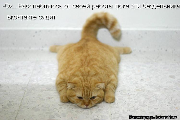 -Ох...Расслабляюсь от своей работы пока эти бездельники вконтакте сидят вконтакте сидят... Котоматрица: -Ох...Расслабляюсь от своей работы пока эти бездельники вконтакте сидят вконтакте сидят