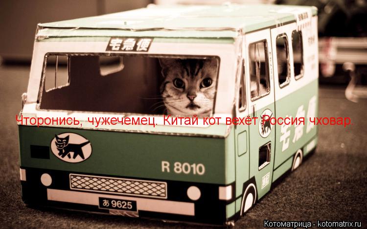 Чторонись, чужечемец. Китай кот вехёт Россия чховар.... Котоматрица: Чторонись, чужечемец. Китай кот вехёт Россия чховар.