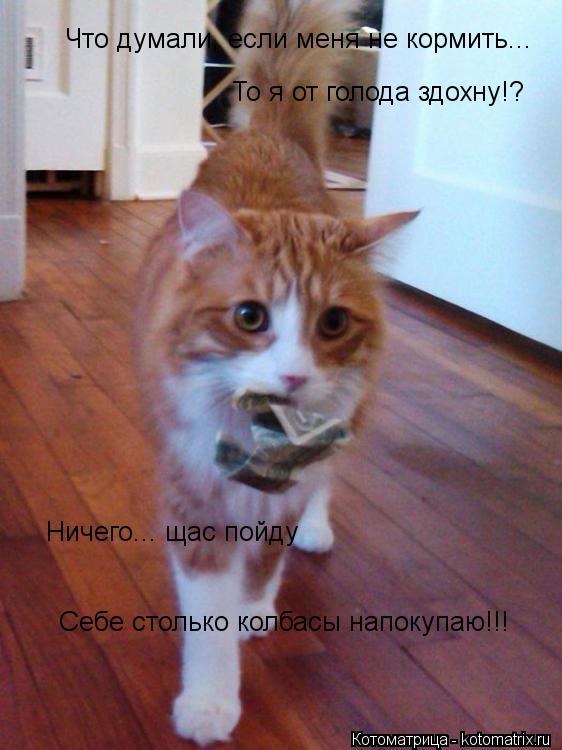 Что думали, если меня не кормить... То я от голода здохну!? Ничего... щас пойду Себе столько колбасы ... Котоматрица: Что думали, если меня не кормить... То я от голода здохну!? Ничего... щас пойду Себе столько колбасы напокупаю!!!