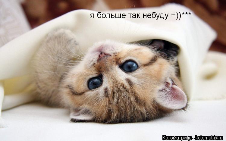я больше так небуду =))***... Котоматрица: я больше так небуду =))***