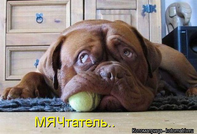 МЯЧтатель..... Котоматрица: МЯЧтатель..