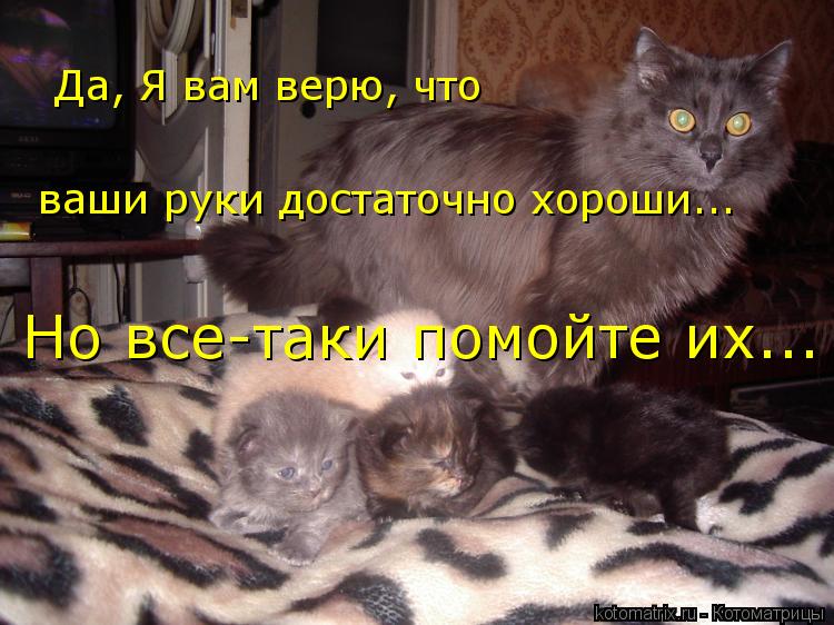 Да, Я вам верю, что ваши руки достаточно хороши... Но все-таки помойте их...... Котоматрица: Да, Я вам верю, что ваши руки достаточно хороши... Но все-таки помойте их...