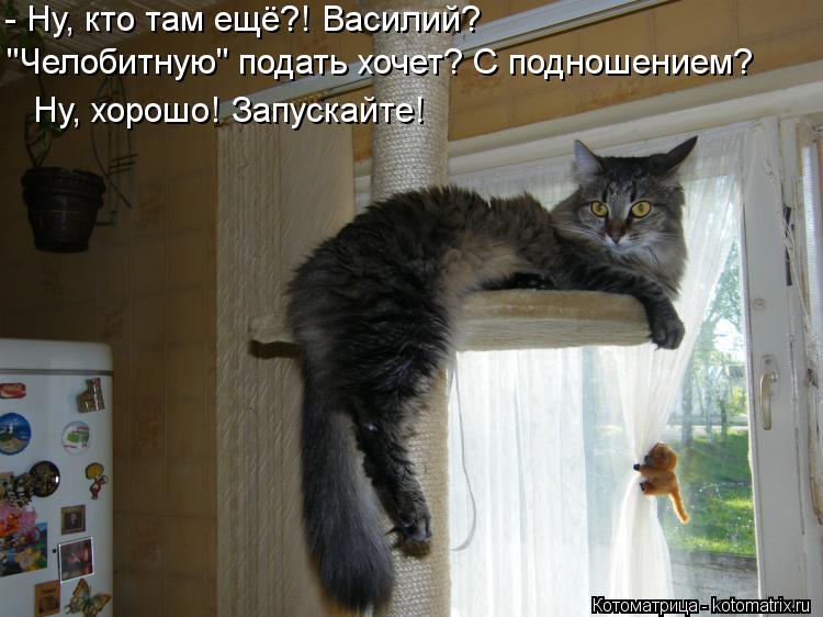 - Ну, кто там ещё?! Василий? "Челобитную" подать хочет? С подношением? Ну, хорошо! Запускайте!... Котоматрица: - Ну, кто там ещё?! Василий? "Челобитную" подать хочет? С подношением? Ну, хорошо! Запускайте!