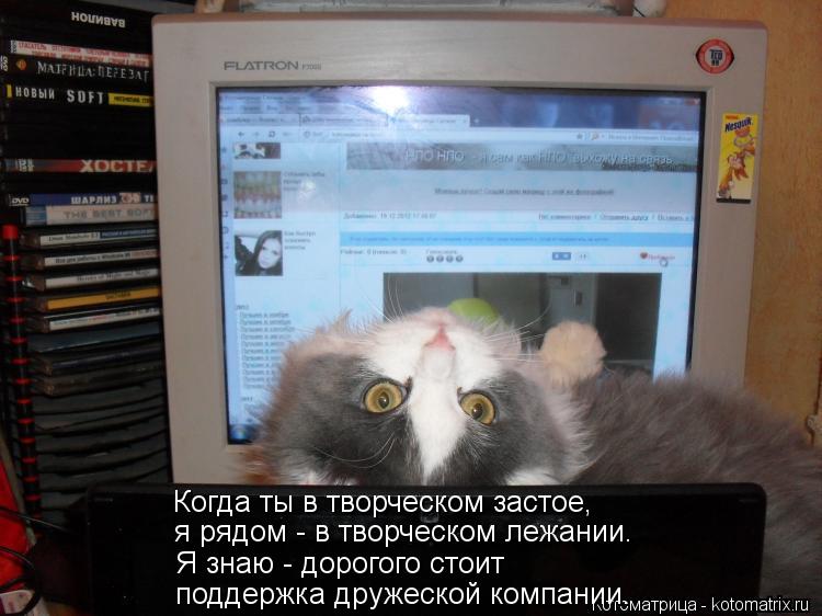 http://kotomatrix.ru/images/lolz/2013/08/04/kotomatritsa_Wh.jpg