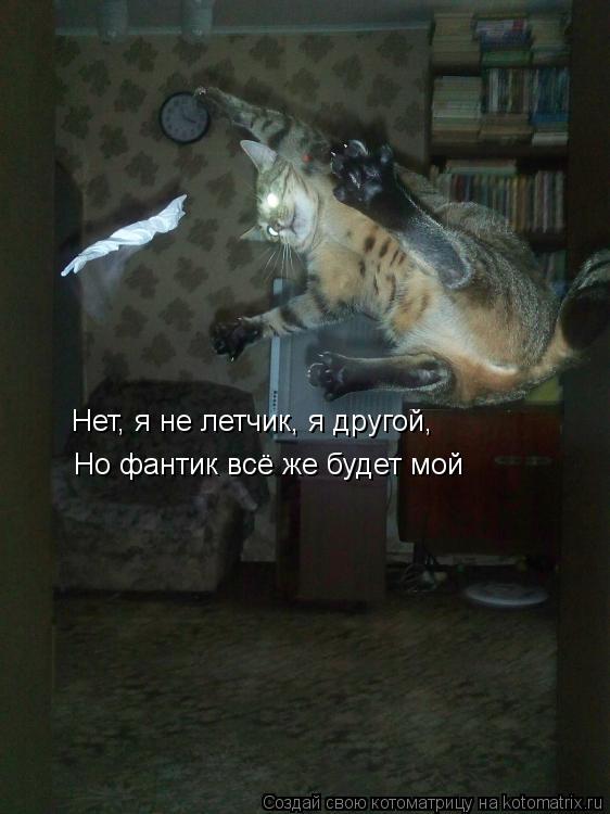Нет, я не летчик, я другой, Но фантик всё же будет мой... Котоматрица: Нет, я не летчик, я другой, Но фантик всё же будет мой