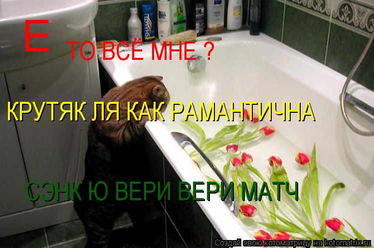 Е ТО ВСЁ МНЕ ? СЭНК Ю ВЕРИ ВЕРИ МАТЧ КРУТЯК ЛЯ КАК РАМАНТИЧНА... Котоматрица: Е ТО ВСЁ МНЕ ? СЭНК Ю ВЕРИ ВЕРИ МАТЧ КРУТЯК ЛЯ КАК РАМАНТИЧНА