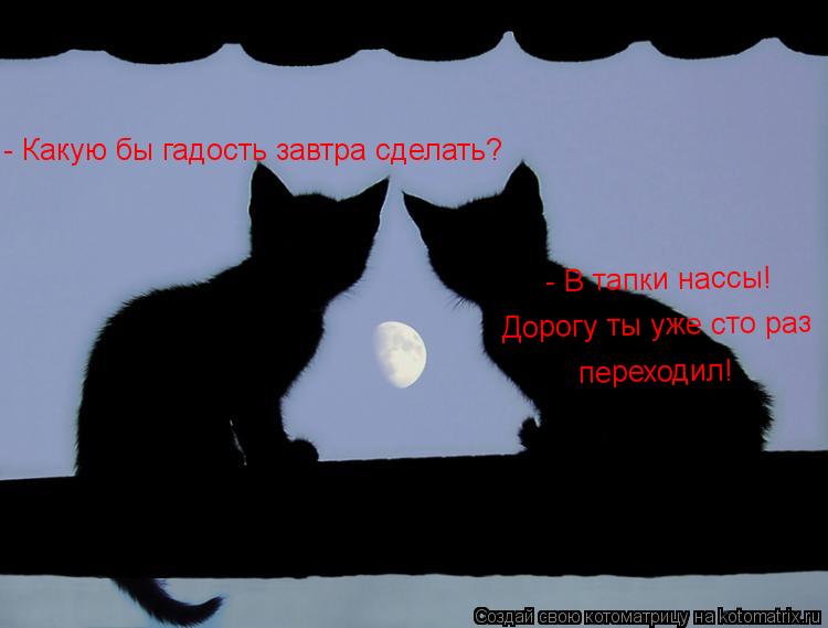 - Какую бы гадость завтра сделать? В тапки нассы! - В тапки нассы! Дорогу ты уже сто раз переходил... Котоматрица: - Какую бы гадость завтра сделать? В тапки нассы! - В тапки нассы! Дорогу ты уже сто раз переходил!