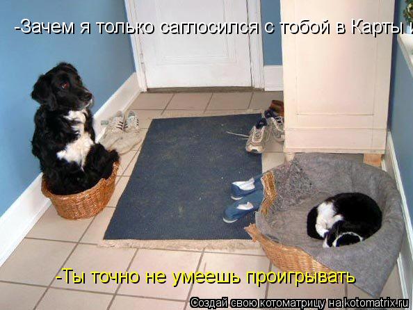 -Зачем я только саглосился с тобой в Карты играть -Ты точно не умеешь проигрывать... Котоматрица: -Зачем я только саглосился с тобой в Карты играть -Ты точно не умеешь проигрывать