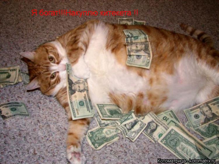 Я богат!!!Накуплю китекета !!... Котоматрица: Я богат!!!Накуплю китекета !!