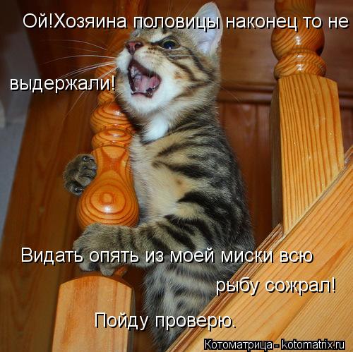 Ой!Хозяина половицы наконец то не выдержали! Видать опять из моей миски всю рыбу сожрал! Пойду провер... Котоматрица: Ой!Хозяина половицы наконец то не выдержали! Видать опять из моей миски всю рыбу сожрал! Пойду проверю.
