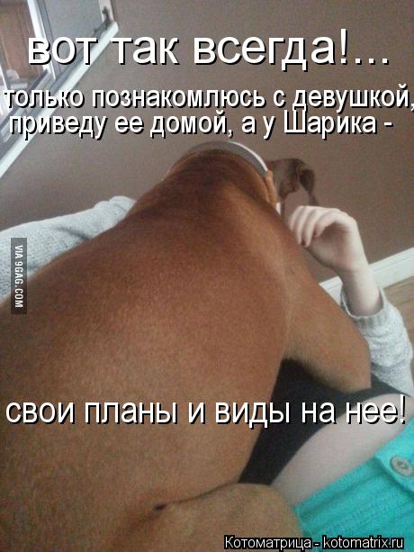 вот так всегда!... только познакомлюсь с девушкой, приведу ее домой, а у Шарика - свои планы и виды н... Котоматрица: вот так всегда!... только познакомлюсь с девушкой, приведу ее домой, а у Шарика - свои планы и виды на нее!