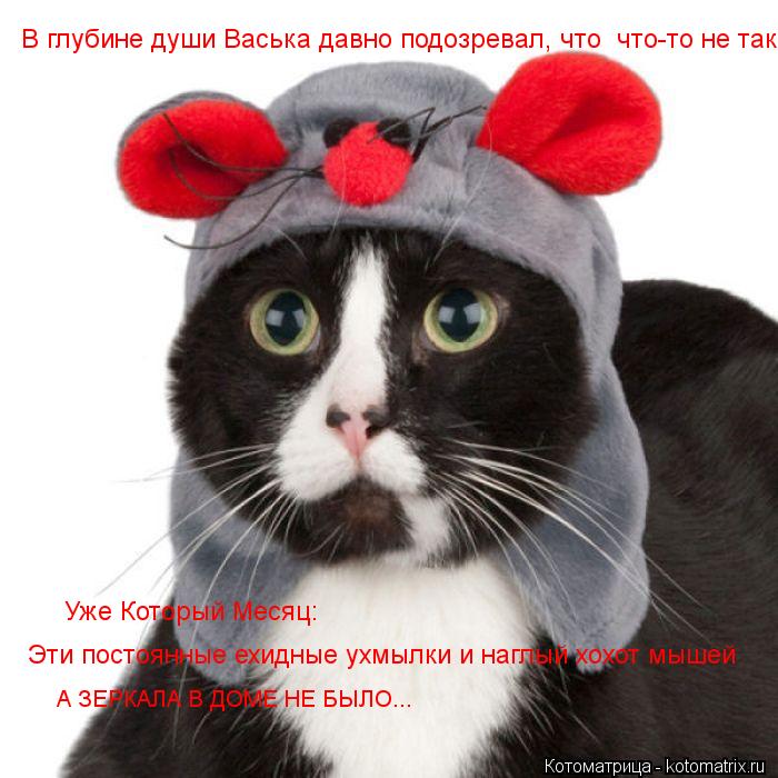 А ЗЕРКАЛА В ДОМЕ НЕ БЫЛО... Эти постоянные ехидные ухмылки и наглый хохот мышей Уже Который Месяц: В... Котоматрица: А ЗЕРКАЛА В ДОМЕ НЕ БЫЛО... Эти постоянные ехидные ухмылки и наглый хохот мышей Уже Который Месяц: В глубине души Васька давно подозревал, чт