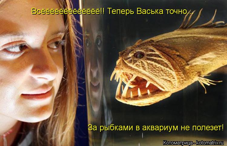 Всёёёёёёёёёёёёё!! Теперь Васька точно... За рыбками в аквариум не полезет!... Котоматрица: Всёёёёёёёёёёёёё!! Теперь Васька точно... За рыбками в аквариум не полезет!